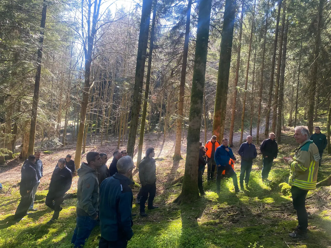 Bild von Leuten im Wald der Mooswaldgenossenschaft Ödsbach