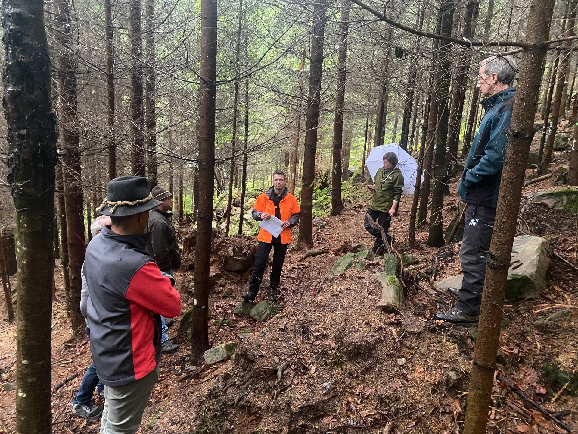 Bild von Leuten im steilen Wald der Mooswaldgenossenschaft Ödsbach